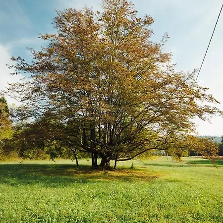 Al Vecchio Carpino 3*