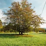 Al Vecchio Carpino 3*
