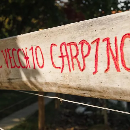 לינה וארוחת בוקר Al Vecchio Carpino