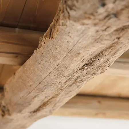 Al Vecchio Carpino Frühstückspension 3*