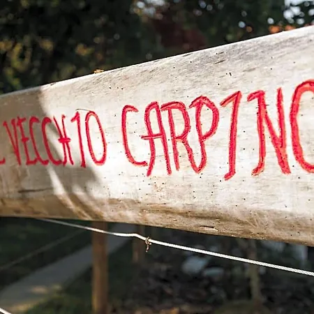 Al Vecchio Carpino 3* Farra